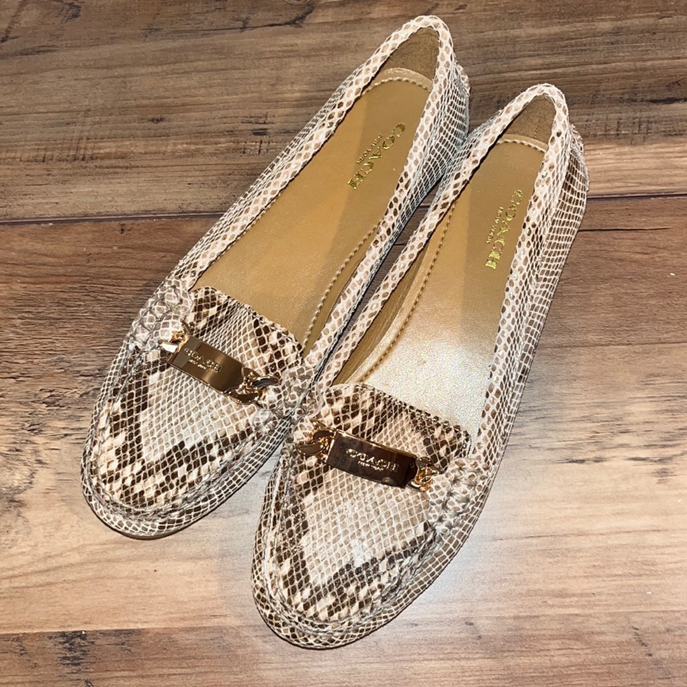 COACH Olive Snake Loafers  A7762